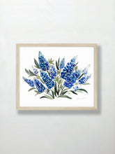 Load image into Gallery viewer, Bluebonnets
