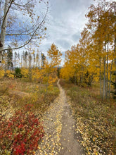 Load image into Gallery viewer, &quot;The Path&quot; - Winter Park, CO
