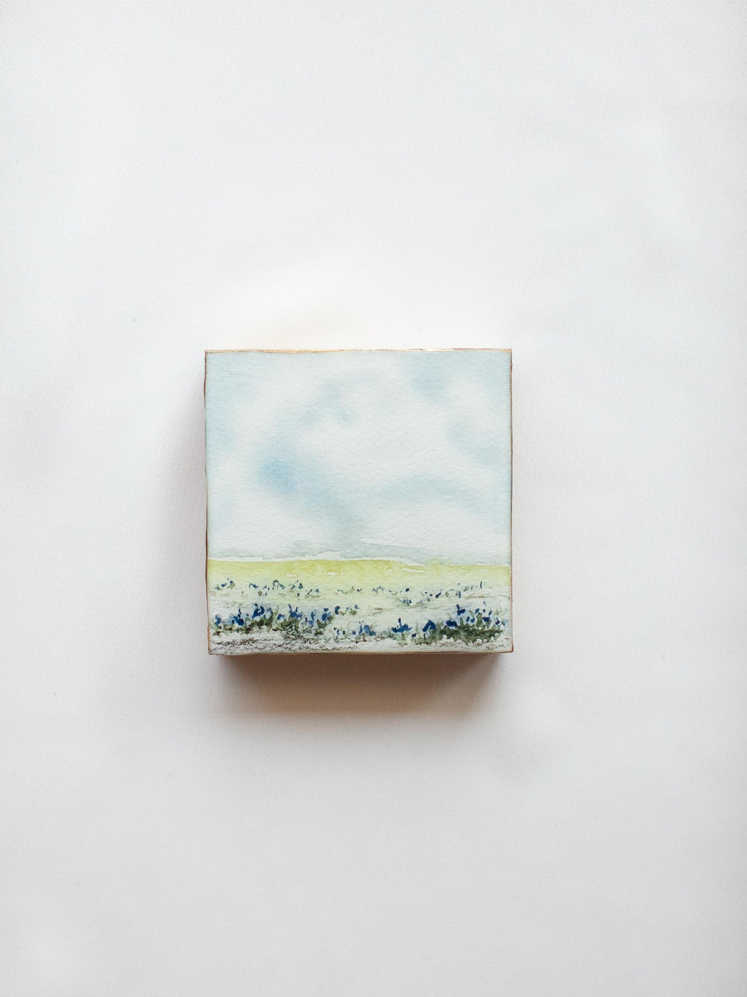 Bluebonnet Field No. 2 with Resin