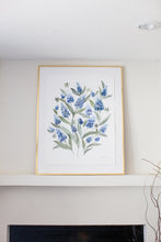Load image into Gallery viewer, Large Scale Bluebonnets
