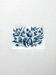 Étude Botanique No. 4