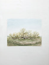Load image into Gallery viewer, In the Country No. 2
