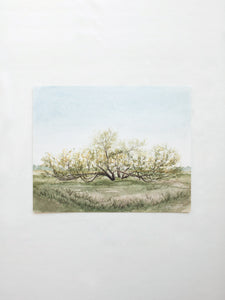 In the Country No. 2