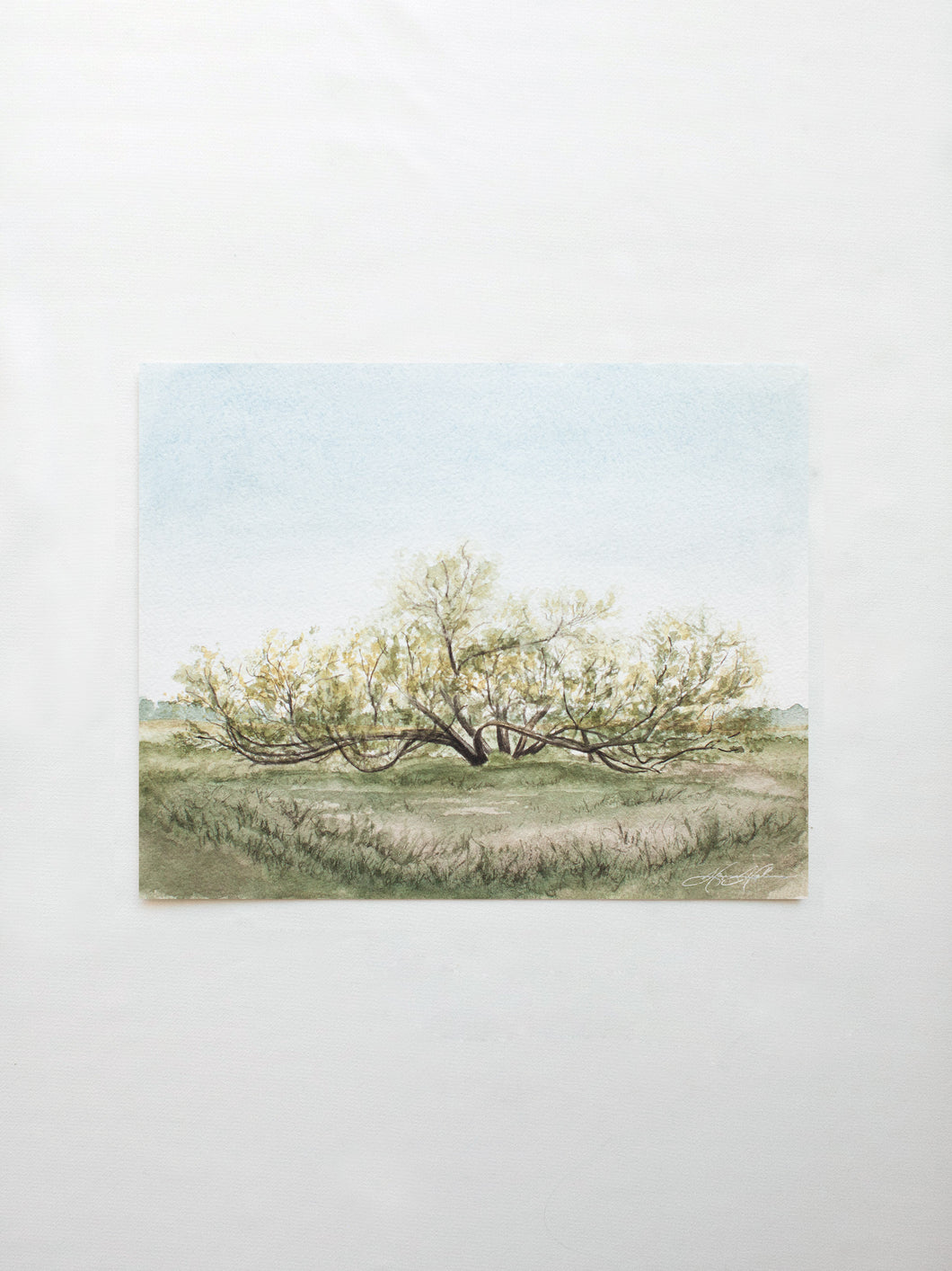 In the Country No. 2