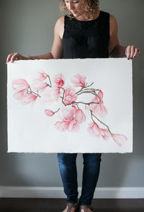 Magnolia Blossoms | 22x30"