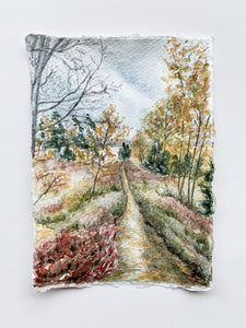 "The Path" - Winter Park, CO