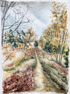 "The Path" - Winter Park, CO