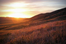 Load image into Gallery viewer, Collector&#39;s Choice - No. 2
