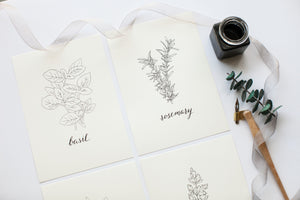 Herb Prints | Set of 4 | 5x7