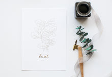 Load image into Gallery viewer, Herb Prints | Set of 4 | 5x7
