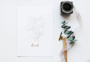 Herb Prints | Set of 4 | 5x7