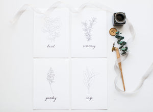 Herb Prints | Set of 4 | 5x7