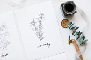 Herb Prints | Set of 4 | 5x7