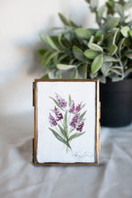 Load image into Gallery viewer, Mini Series 3 - No. 6
