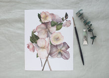Load image into Gallery viewer, Hellebores
