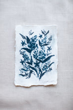 Load image into Gallery viewer, Étude Botanique No. 1
