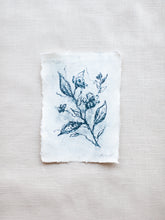 Load image into Gallery viewer, Étude de Rose No. 7
