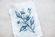 Load image into Gallery viewer, Étude de Rose No. 7
