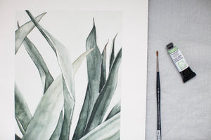 Succulent Calm | 16x20"
