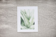 Load image into Gallery viewer, Agave | 8x10&quot;
