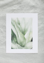 Load image into Gallery viewer, Agave | 8x10&quot;
