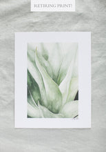 Load image into Gallery viewer, Agave | 8x10&quot;

