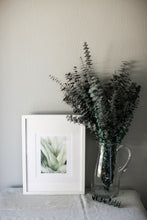 Load image into Gallery viewer, Agave | 8x10&quot;
