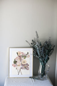 Hellebores Botanical Painting - Serve Coffee Co