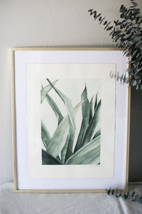 Succulent Calm | 16x20"