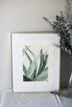 Load image into Gallery viewer, Succulent Calm | 16x20&quot;
