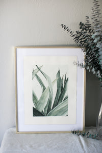 Succulent Calm | 16x20"