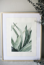 Load image into Gallery viewer, Succulent Calm | 16x20&quot;

