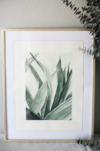 Succulent Calm | 16x20"