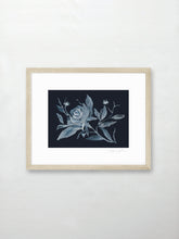 Load image into Gallery viewer, Moonlight Dances
