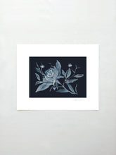 Load image into Gallery viewer, Moonlight Dances
