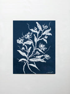 Étude de Rose No. 3