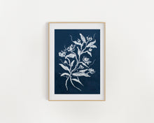 Load image into Gallery viewer, Étude de Rose No. 3
