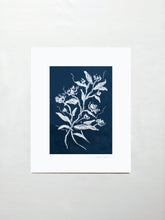 Load image into Gallery viewer, Étude de Rose No. 3 - Serve Coffee Co
