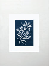 Load image into Gallery viewer, Étude de Rose No. 3
