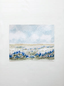 Wildflower Fields No. 1