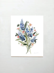 Wildflowers & Bluebonnets