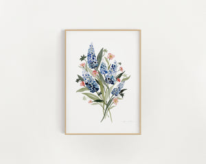 Wildflowers & Bluebonnets
