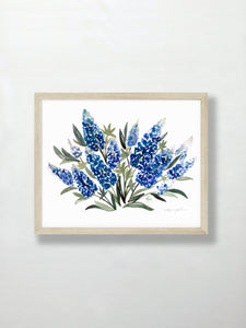 Bluebonnets