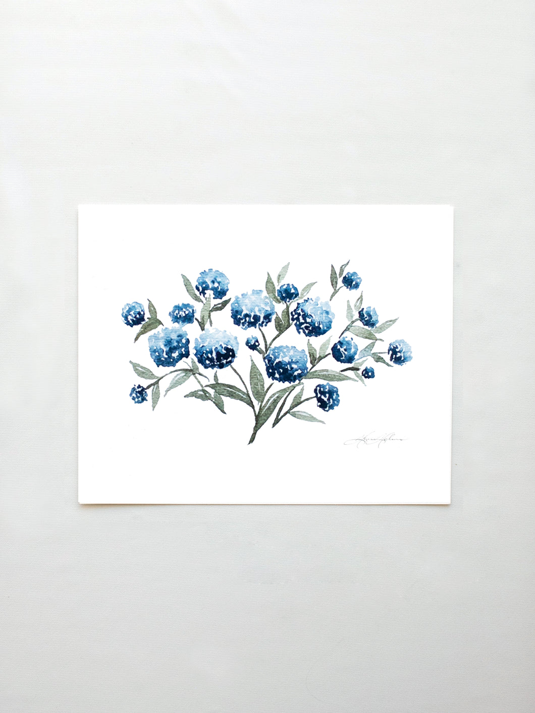 Hydrangea Blossoms Vol. 2