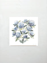 Load image into Gallery viewer, Hydrangea Blossoms Vol. 1
