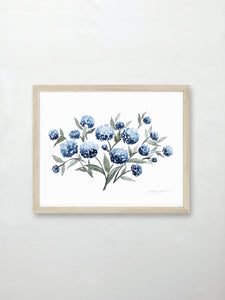 Hydrangea Blossoms Vol. 2