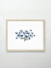 Load image into Gallery viewer, Hydrangea Blossoms Vol. 2
