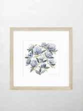 Load image into Gallery viewer, Hydrangea Blossoms Vol. 1

