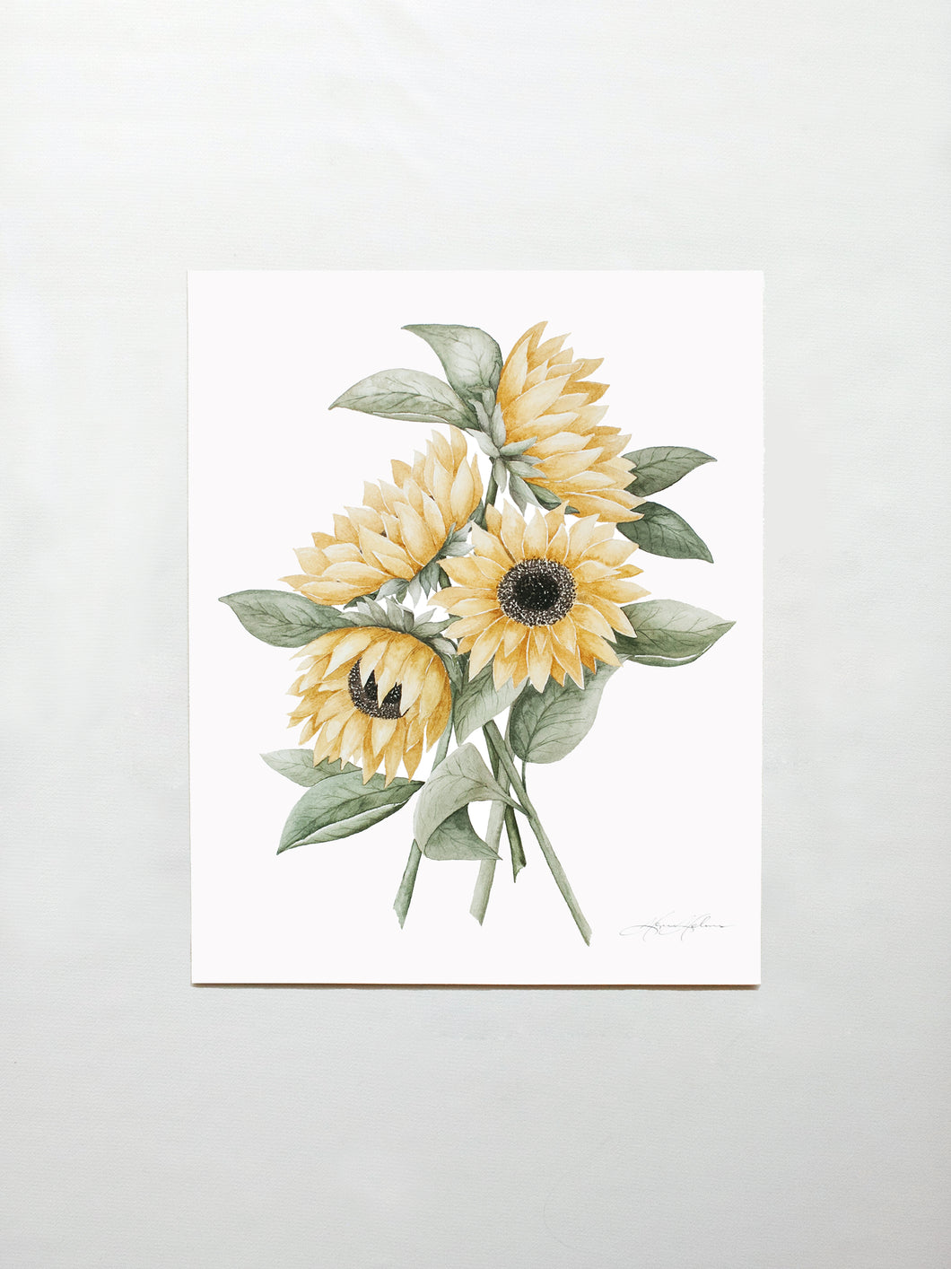 Sunflowers