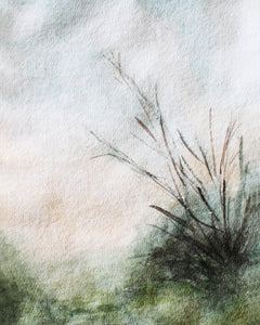 The Search No. 1